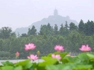 其实，南通的天气是四季分明的，只是这分明里，总带着些水汽氤氲的暧昧