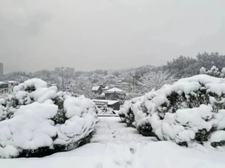 湖南大雪暴雪范围已定，全省多地迎强降雪，公众需严阵以待