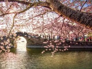 无锡一周天气预报，春暖花开，天气多变，出行需留意