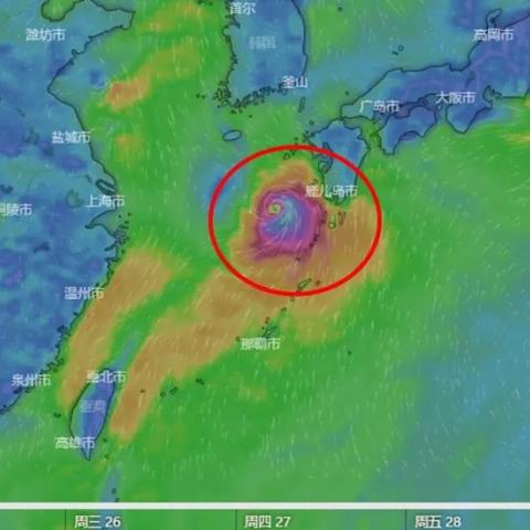 ecwmf台风集合预报（台风网官网）