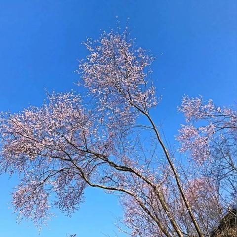 富阳天气预报15天，掌握未来两周天气变化，出行生活早规划