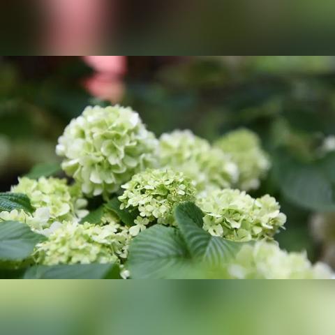 云南近10天天气，春日多变幻，冷暖交替需留意