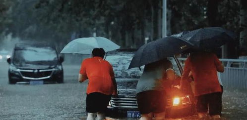 明天的特大暴雨，是一场不会撑伞的告别