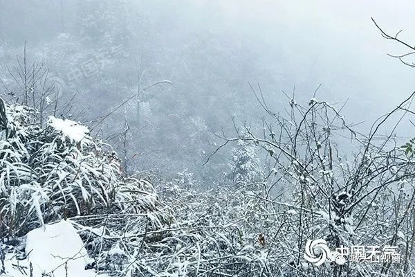 湖南多地将迎暴雪，银装素裹下的冷暖人间