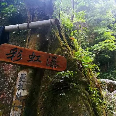 鹿寨天气预报，读懂天空的密语，守护小城的日常