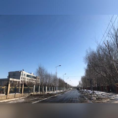 冰城之寒，哈尔滨的气温到底有多低？