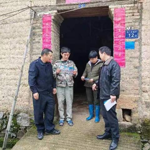 最新台风路径实时发布，科技护航，安心度汛
