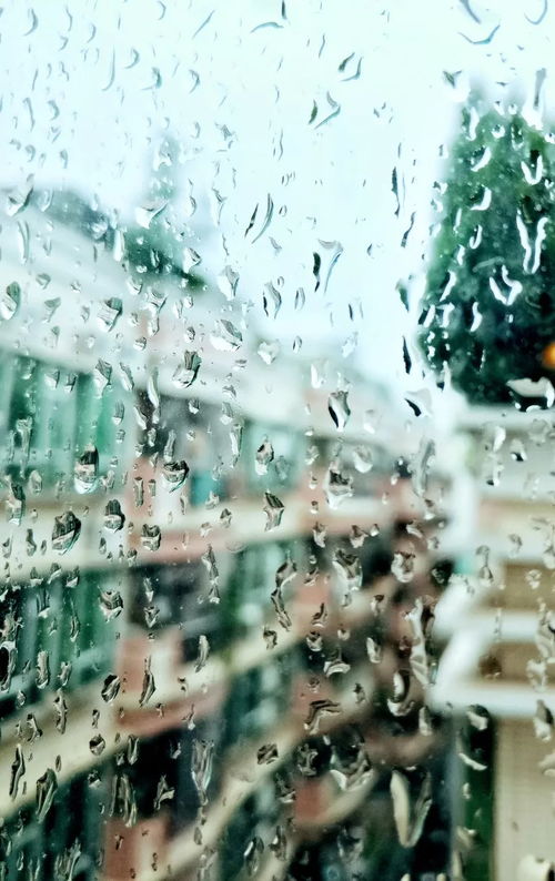 雨，在三点十七分落下