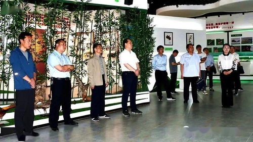 温州气象台台风网,守护城市安全的云端哨兵 温州气象台台风网,守护城市安全的云端哨兵